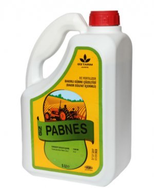 GİZ-PABNES 5 LT BORDO BULAMACI