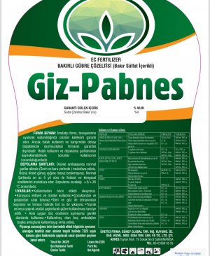 GİZ-PABNES 5 LT SIVI BAKIR